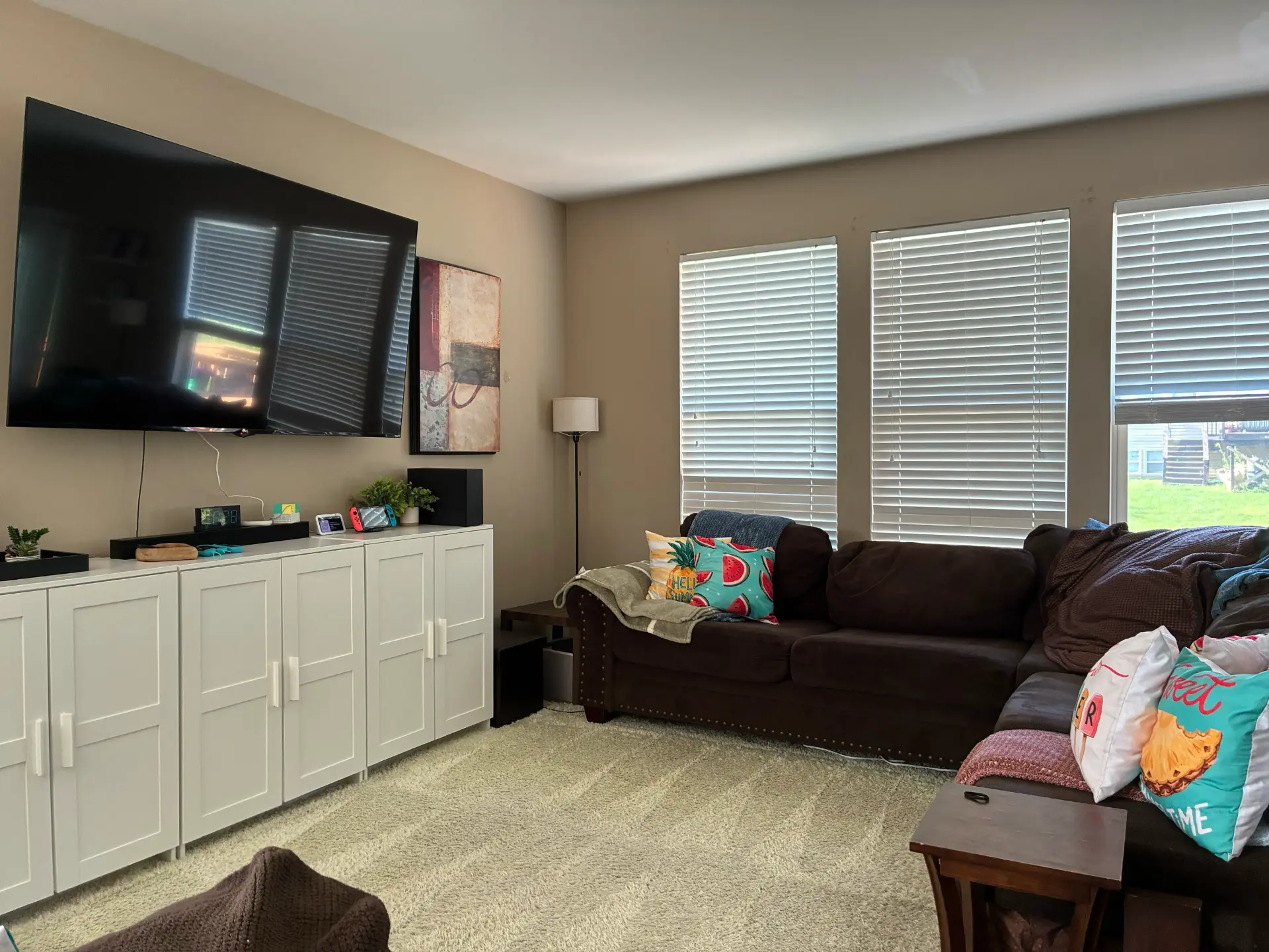 Family room & media wall cleaned by Upkeep Standard in Huntley, Illinois